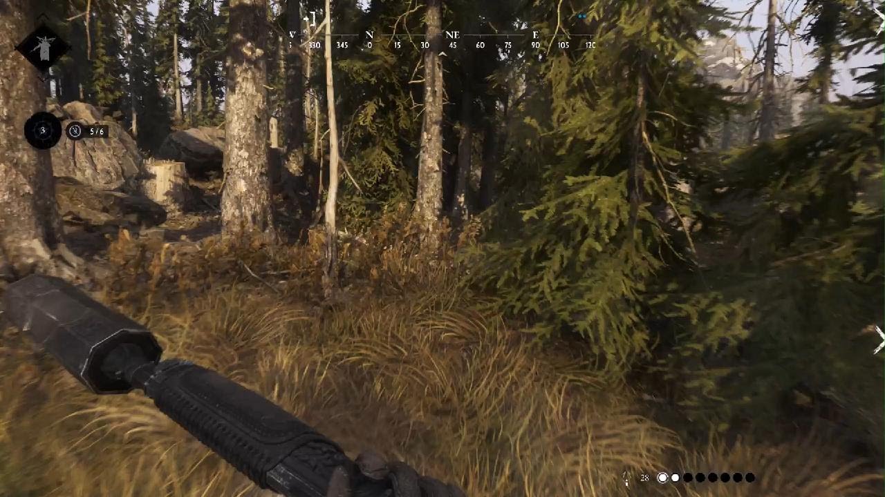 HUNT: SHOWDOWN 1896