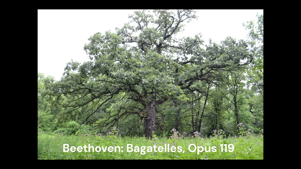 Ludwig van Beethoven:  Eleven Bagatelles, Opus 119