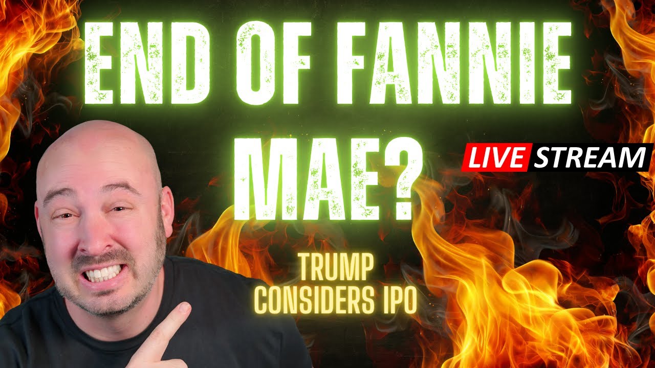 IPO Fannie Mae