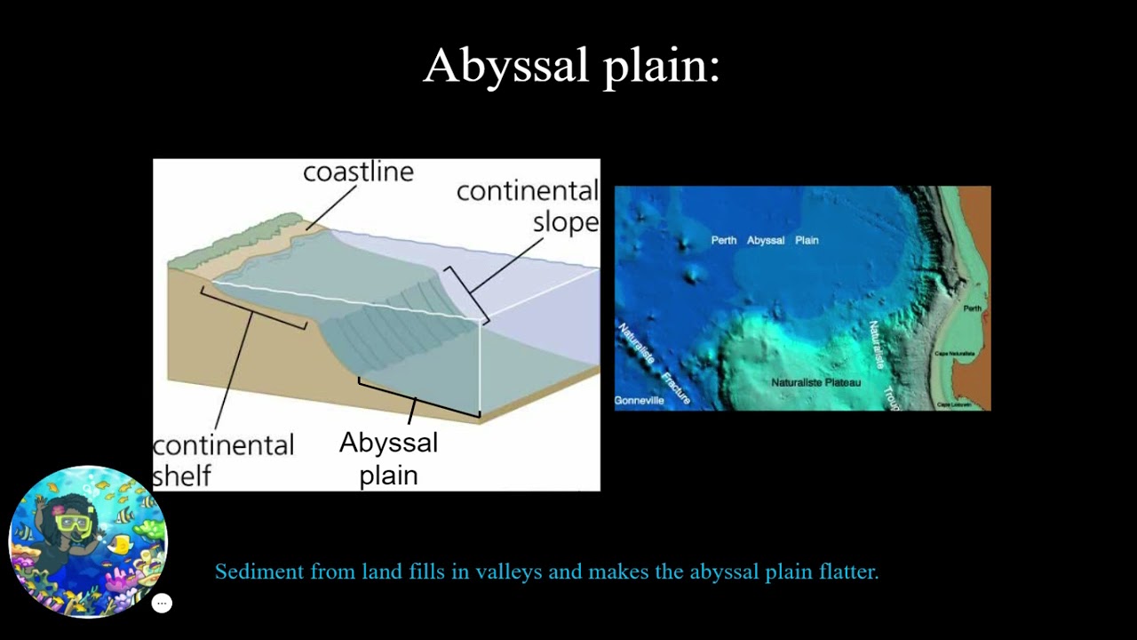2 Seafloor pt1