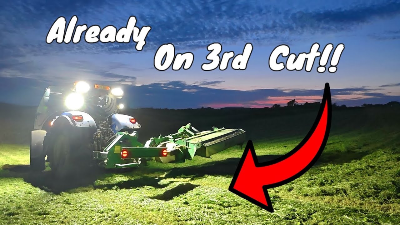 Mowing some of third and second cut!