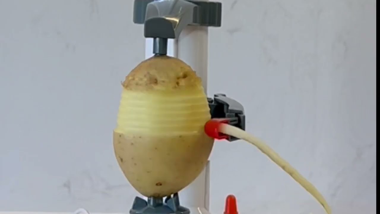 Apple Peeler - Pelamatic SL