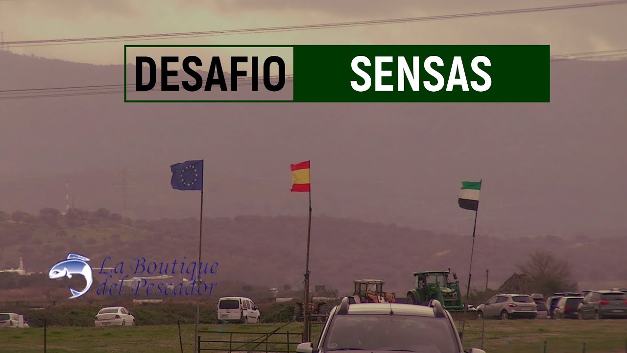 Desafio SENSAS 2024