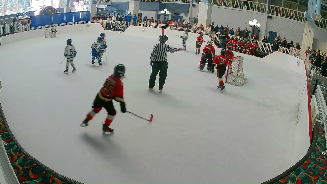 Huskies Blue Beach Bash 2025 Highlights