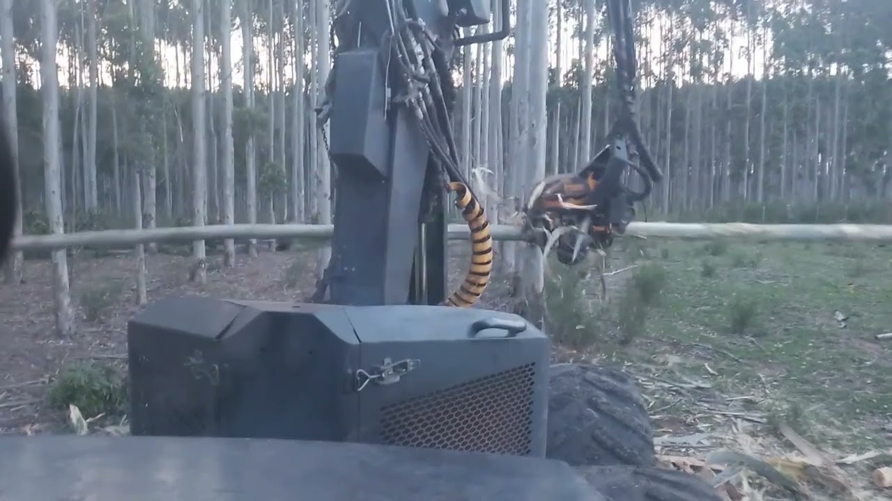 Ponsse Ergo Cosecha Forestal