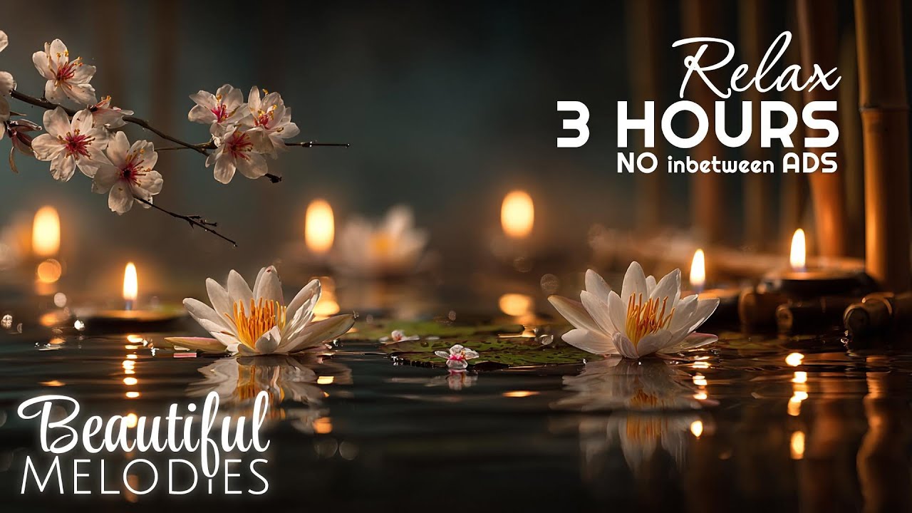 Meditation Music, Calm Music, Meditation Music No ads, Stress relief Music