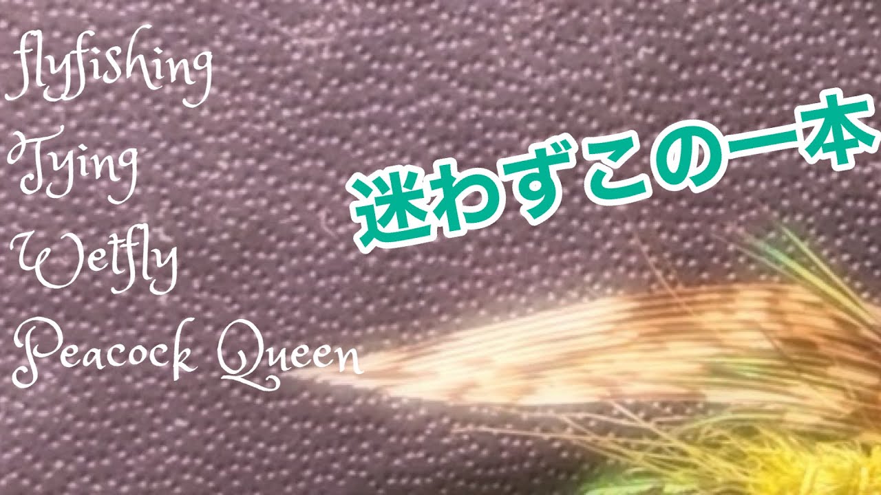 ウエットフライ・タイイング〜「ピーコック・クイーン」ひとつだけ選ぶならこのフライです。