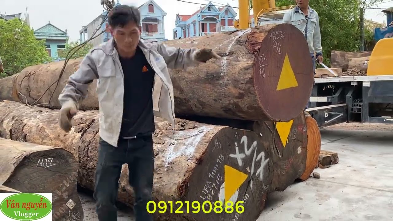Hàng về gỗ lim tròn giá siêu rẻ ! Giật hết cả mình các bác thợ mộc tha hồ nhận việc giá rẻ lương cao