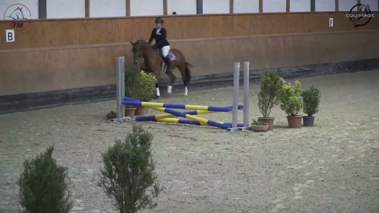 Equitation/Reiten TES/ST Avenches 28.02.2026 - LIVE