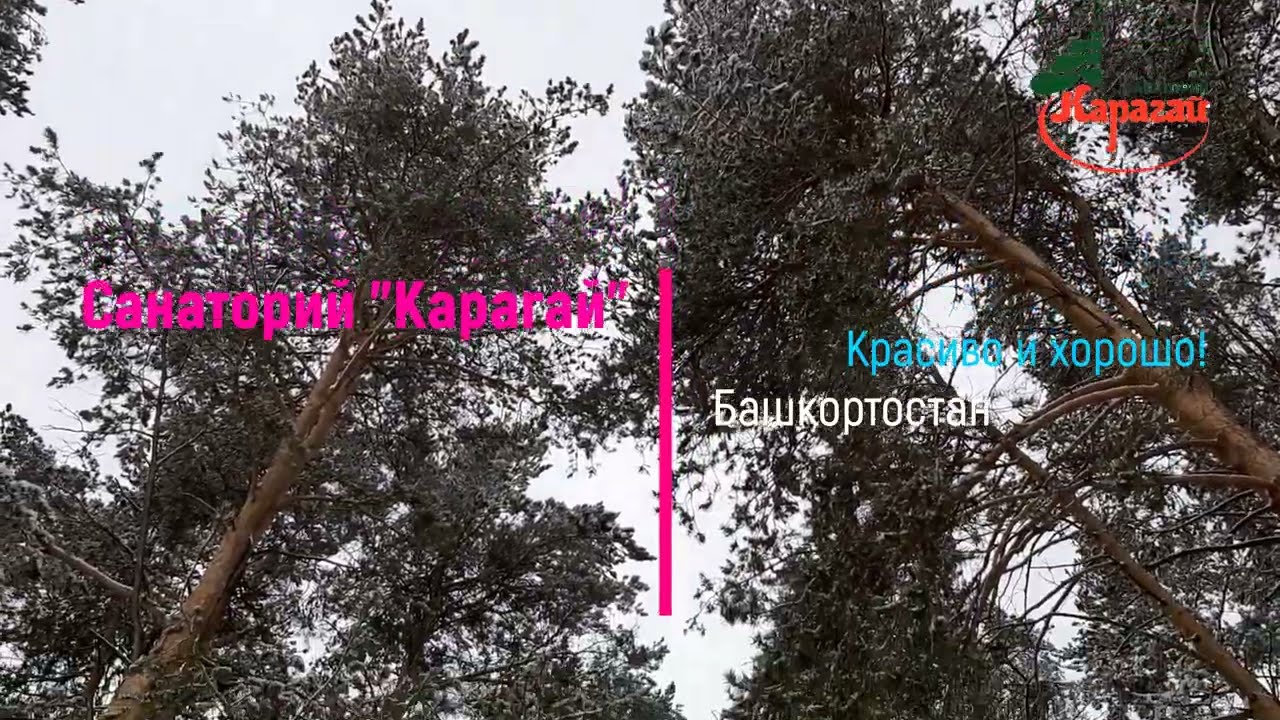Сегодня в санатории 