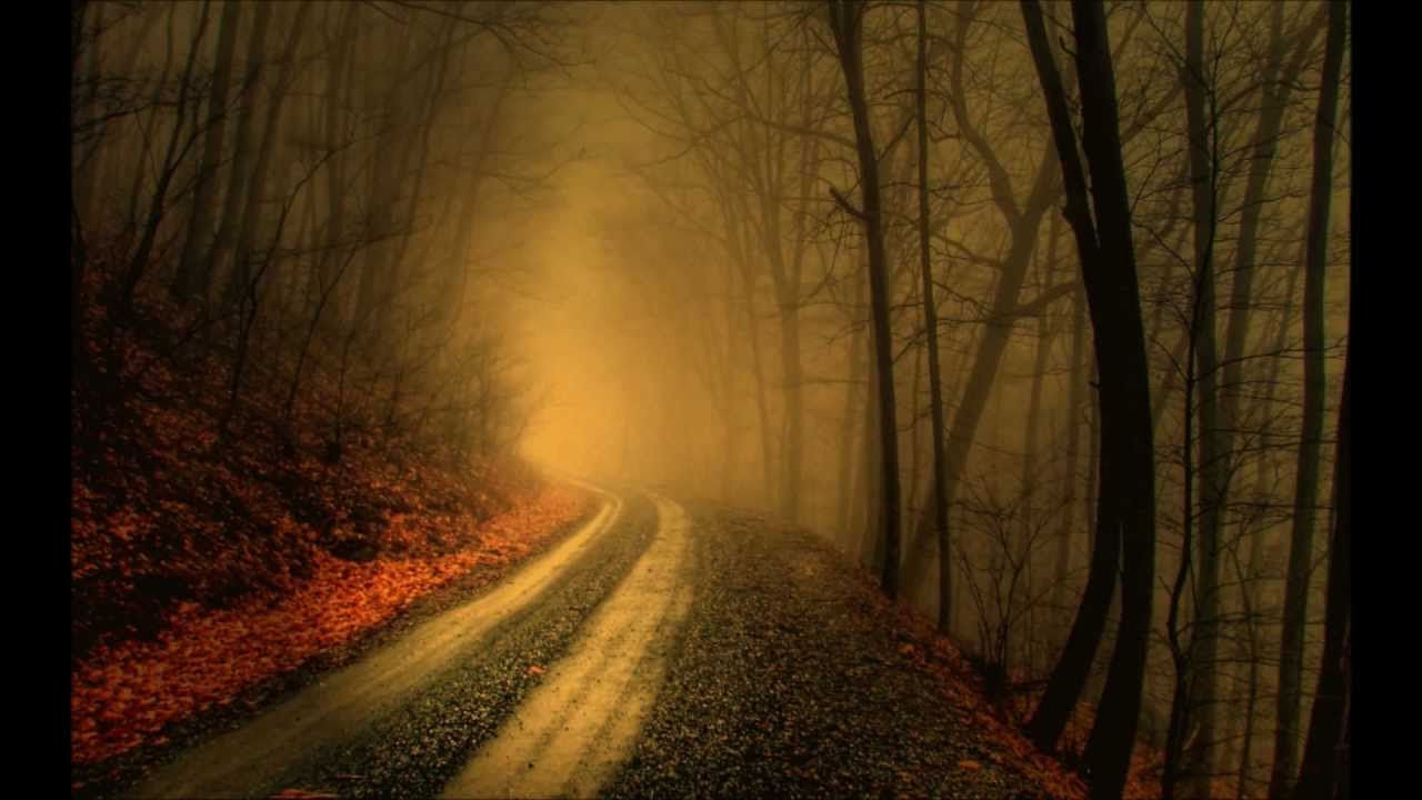 A Difficult Year - Foreign Fields