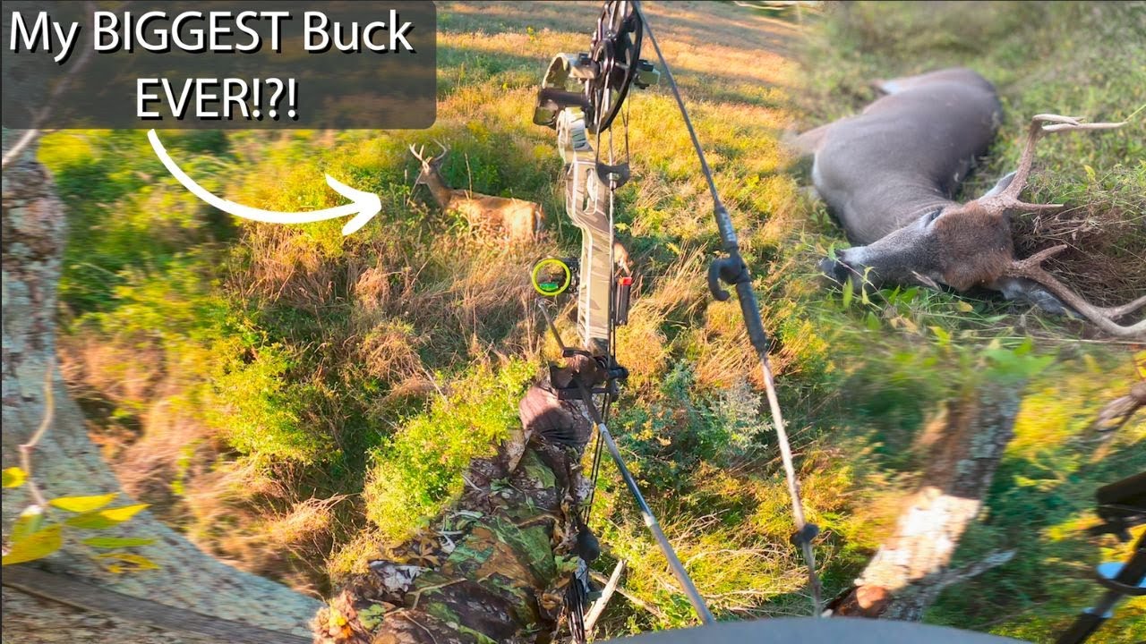 I Self-Filmed This INSANE Bow Hunt