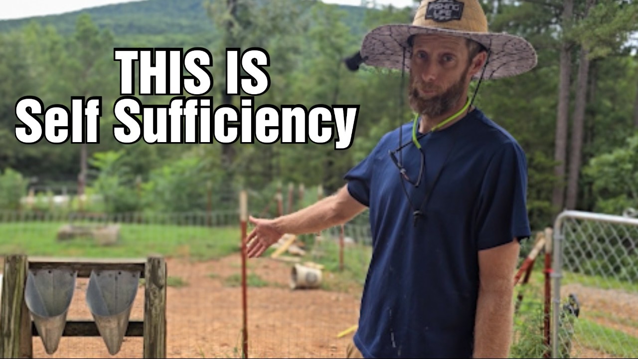 Homesteading Is Doing Hard Things Together |Growing & Processing Our Own Meat On Our Cabin Homestead