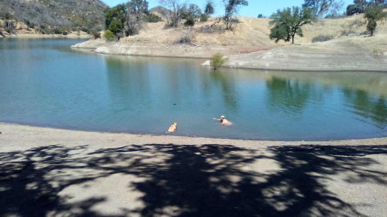 Penny-dog retrieves the friz 💦🐾