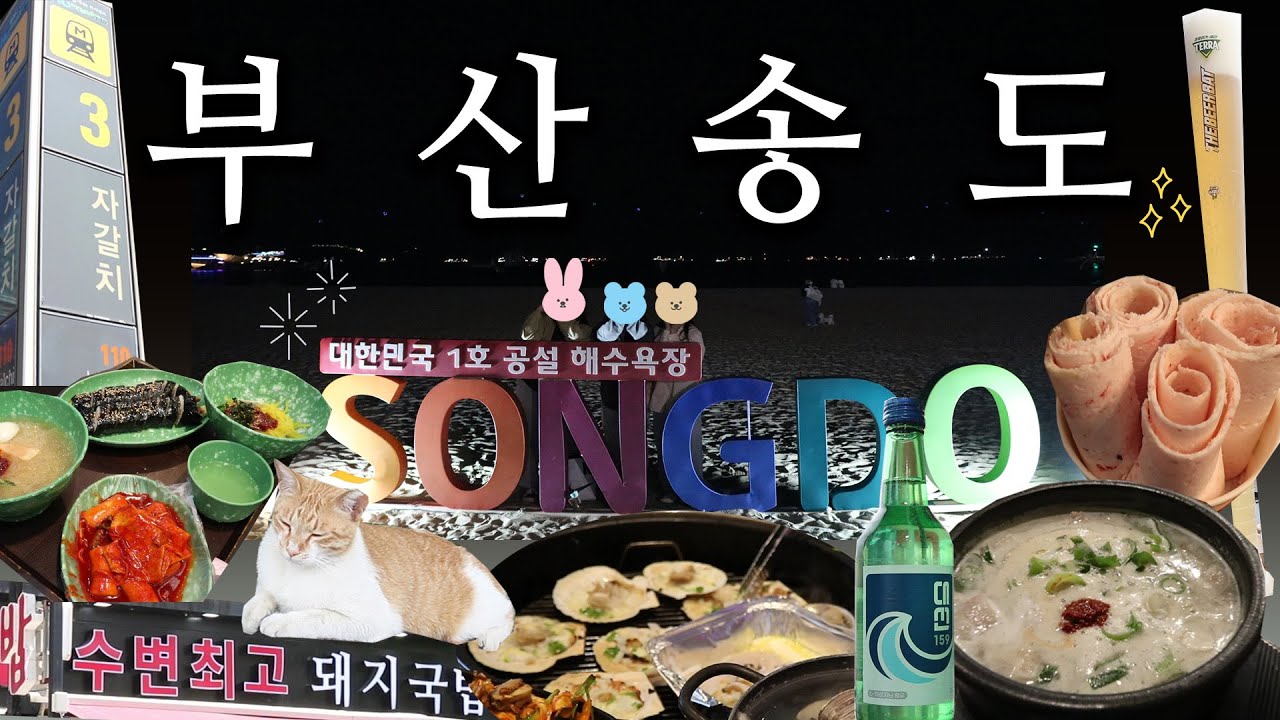 [부산/송도] 후회없는 마지막 20대의 부산여행 송도🌊 부산 송도 맛집부터 가성비 오션뷰 숙소까지🔥