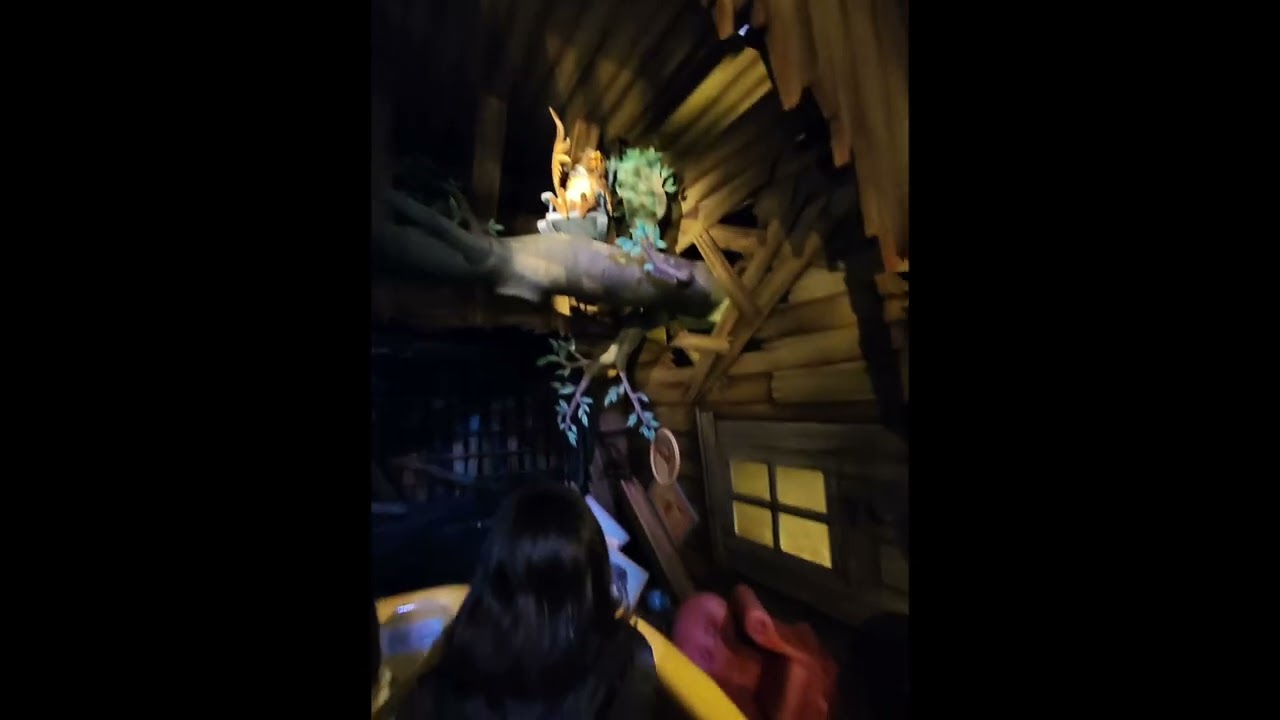The Many Adventures of Winnie the Pooh ~ Hong Kong Disneyland ~ Full-Ride-Through