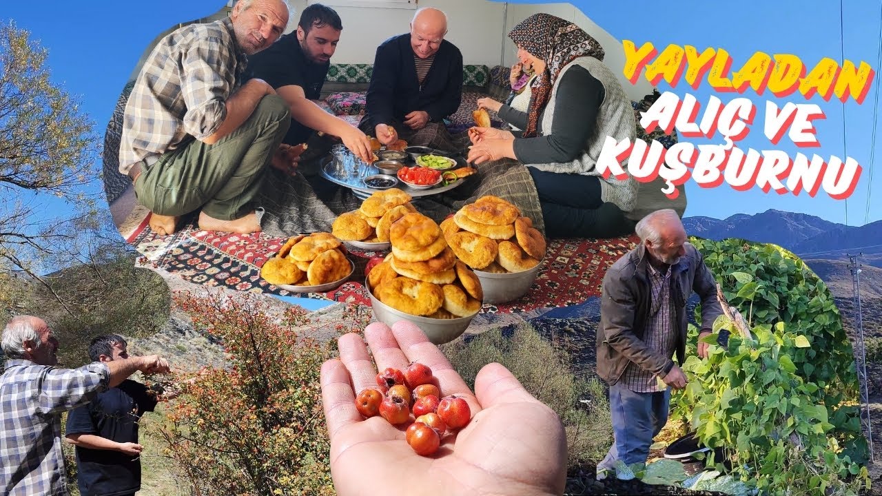 SABAH ERKENDEN İŞ ARDINDAN YAYALADA PİŞİ İLE KAHVALTI KEYFİ l ŞİFA DEPOSU KUŞ BURNU ALIÇ