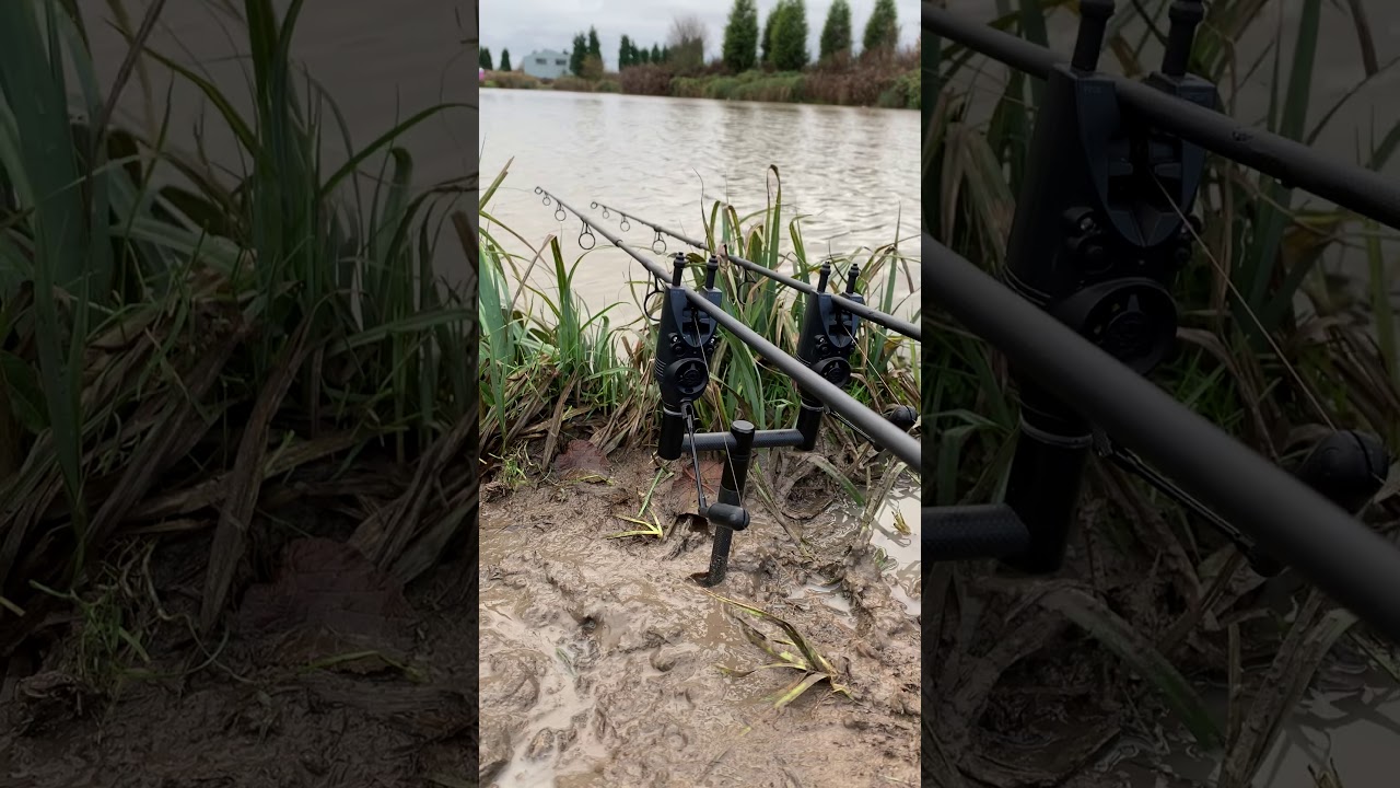 Nash Siren R3 BIG TAKE