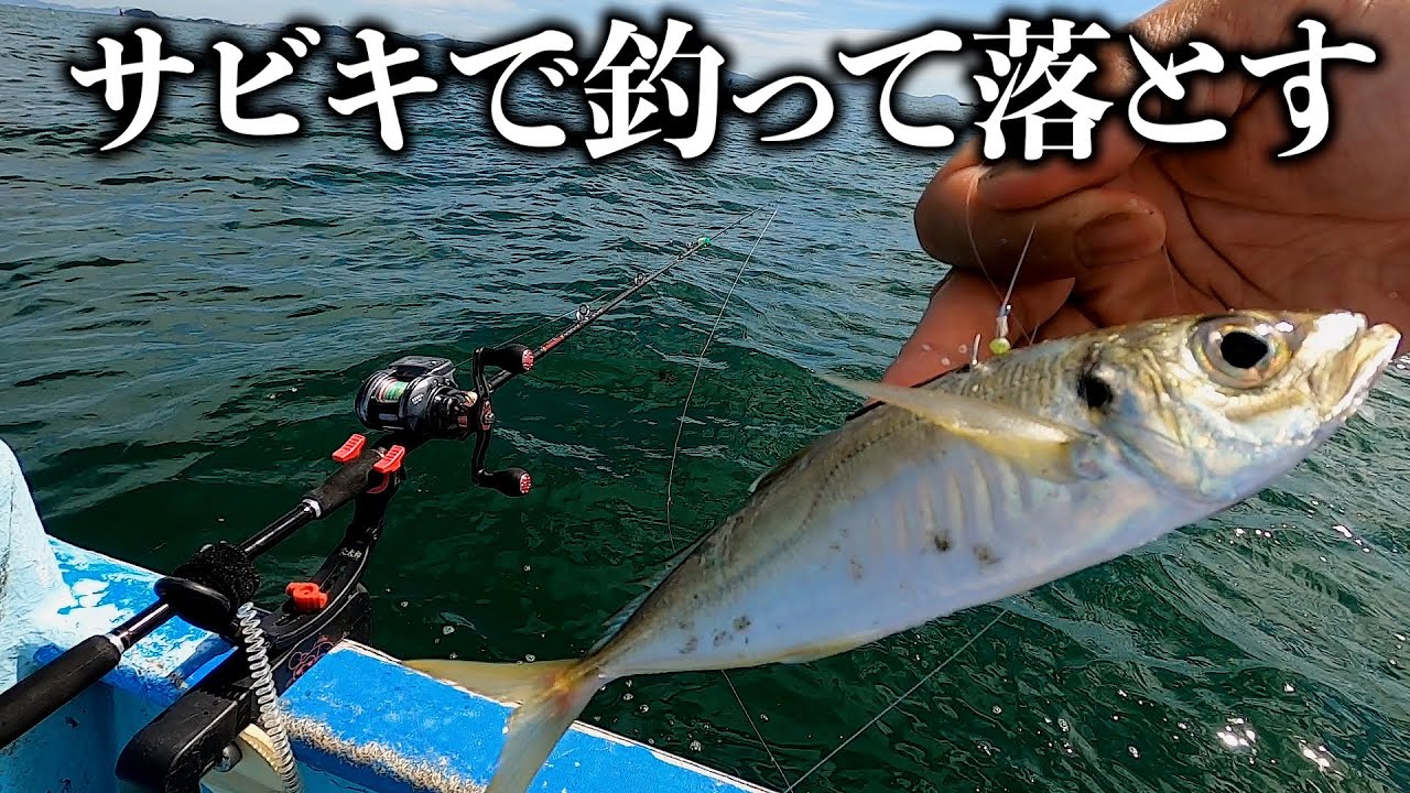 釣ったアジを泳がせるだけで青物入れ食い！