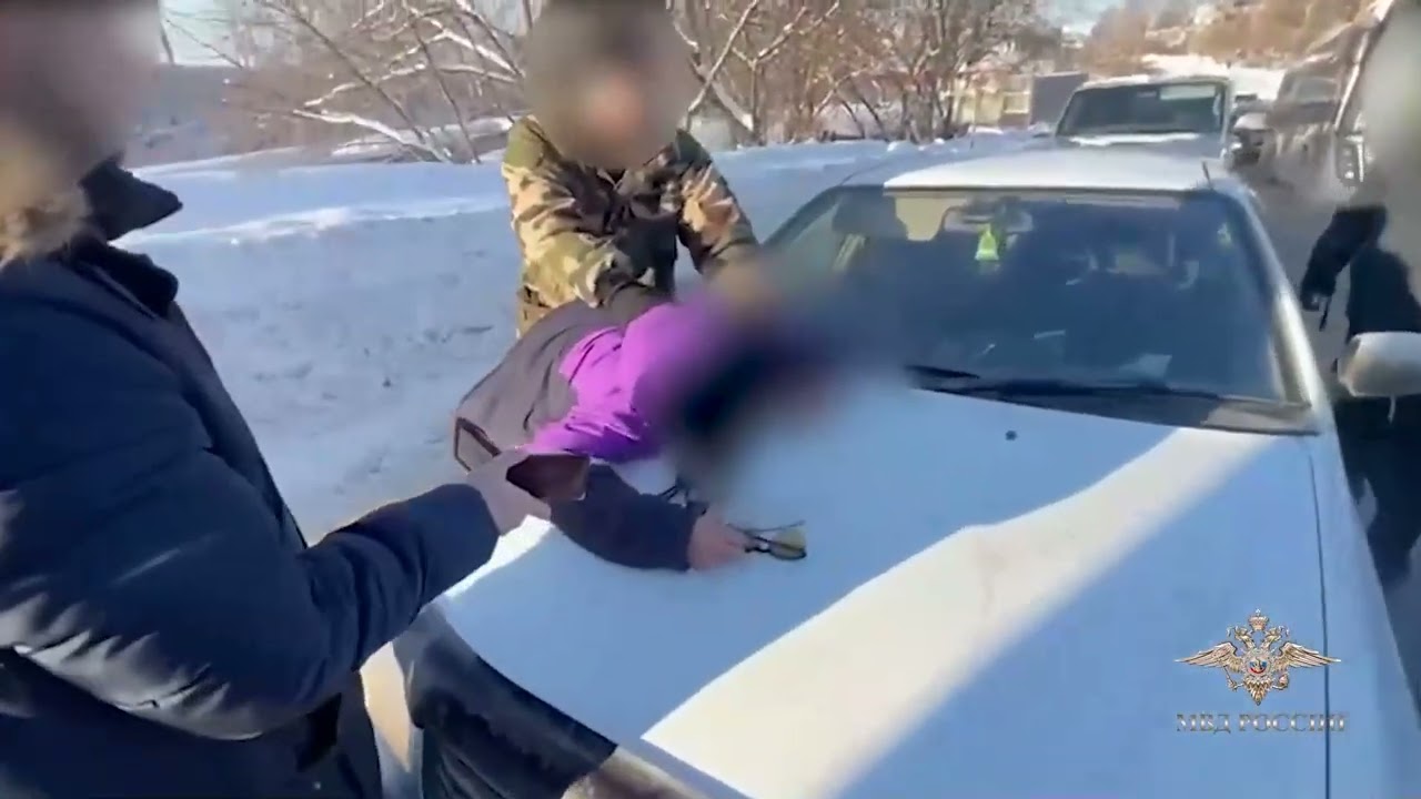 Ирина Волк: В Кирове полицейские на транспорте изъяли из незаконного оборота более 20 кг наркотиков