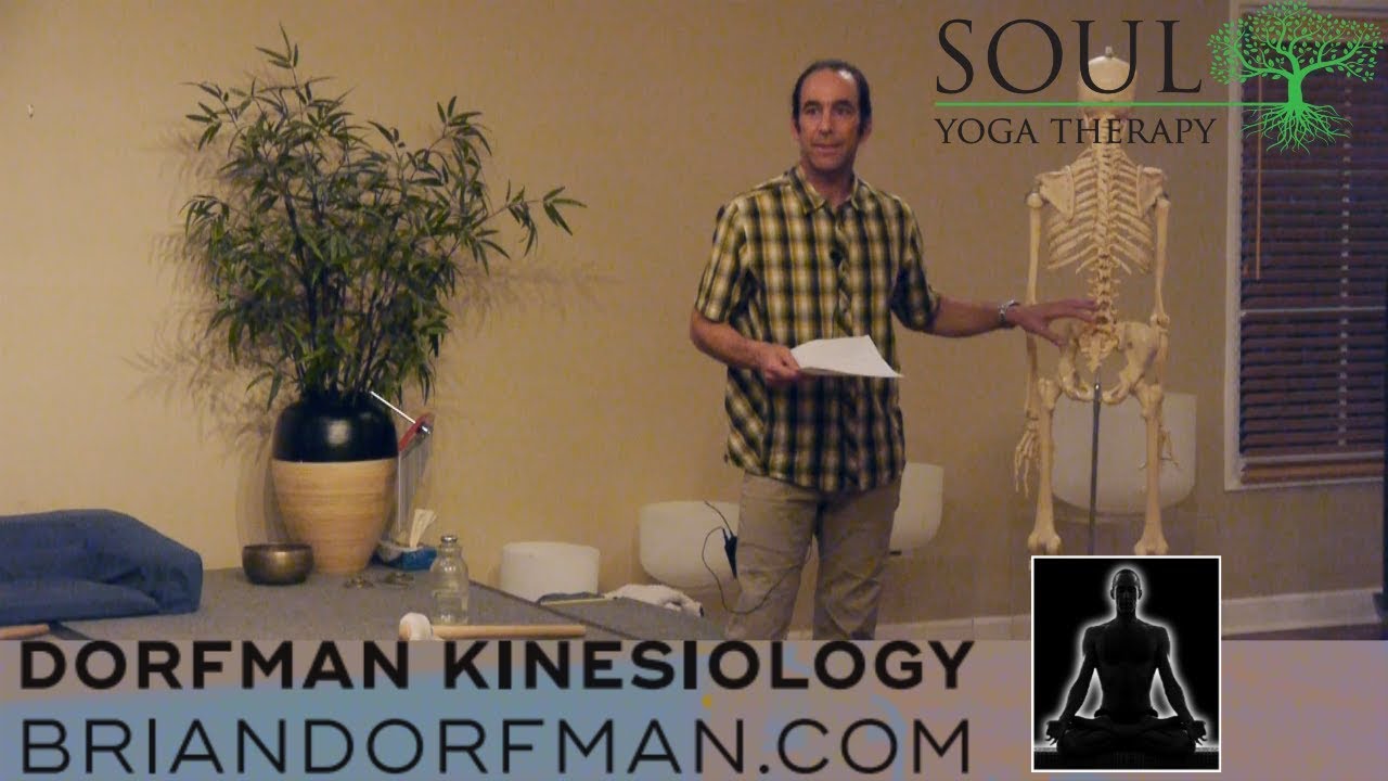 How the Western Plexus Structure aligns with the Eastern Chakra System with Brian Dorfman