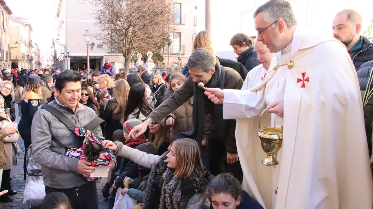 Festividad de de San Antón 2023 en Alcalá de Henares