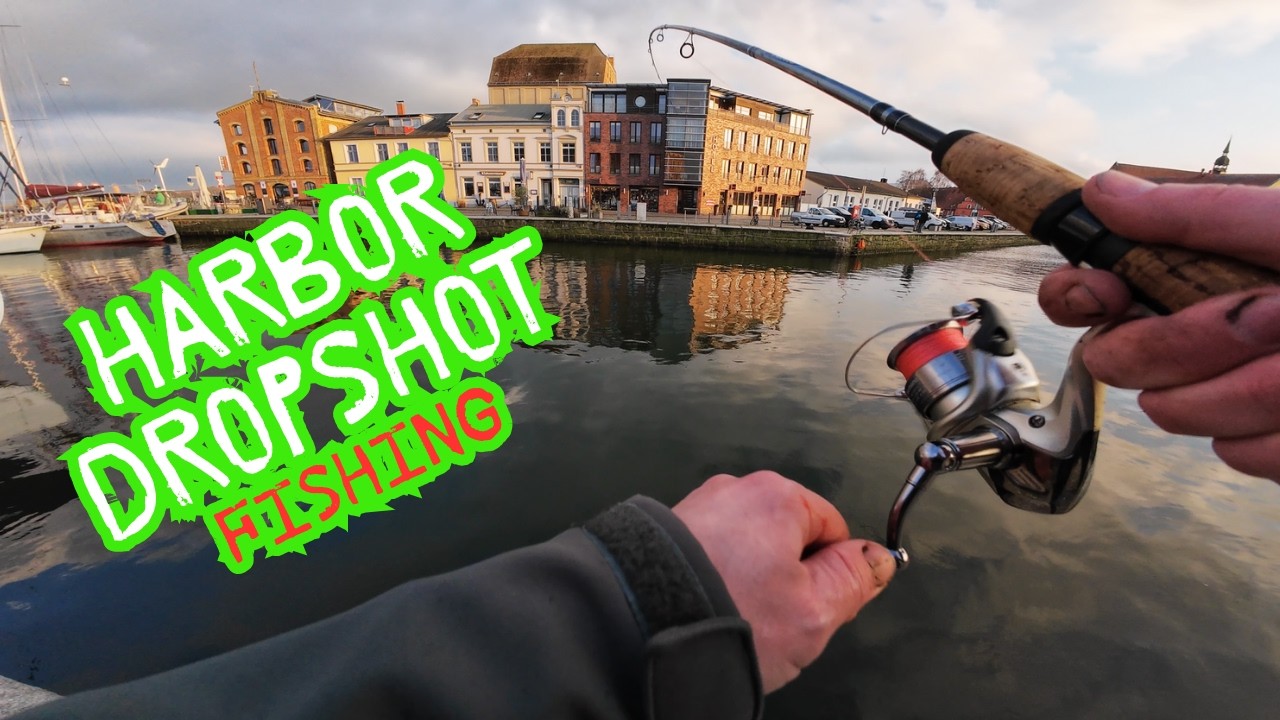 Fishing Germany: Baltic Sea Road Trip | Drop Shot Perch After Failed Sea Trout Hunt
