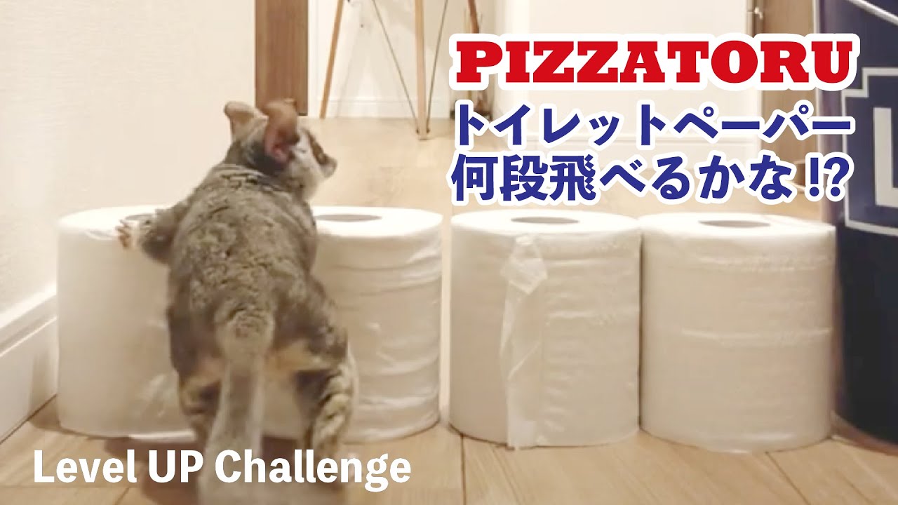 何段飛べるかな！？レベルアップチャレンジ  Bushbaby the Pizzatoru/Level up Chall / ショウガラゴのピザトル