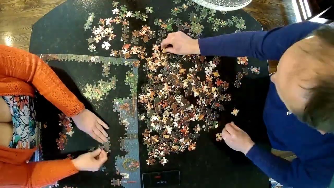 500 Piece Puzzle Timelapse - March 1st, 2026