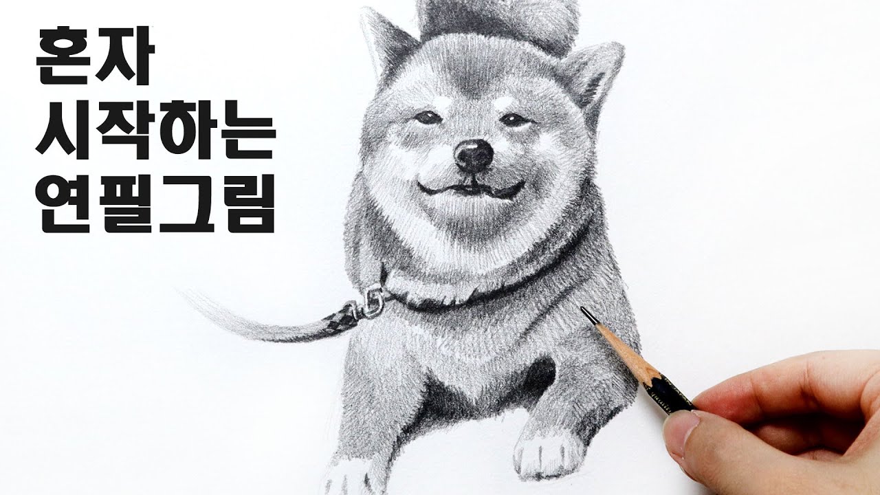 귀여운 강아지 그리기 수업 / 기초소묘, pencil drawing