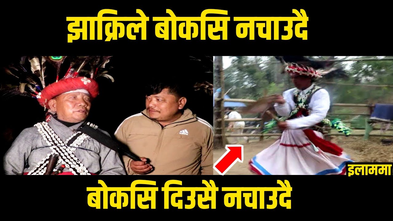 बन झाक्रिले बाेकसि नचाउदै/इलाममा भेटियाे खतरनाक बन झाक्रि/Nepali jhakri/Priest Treatment