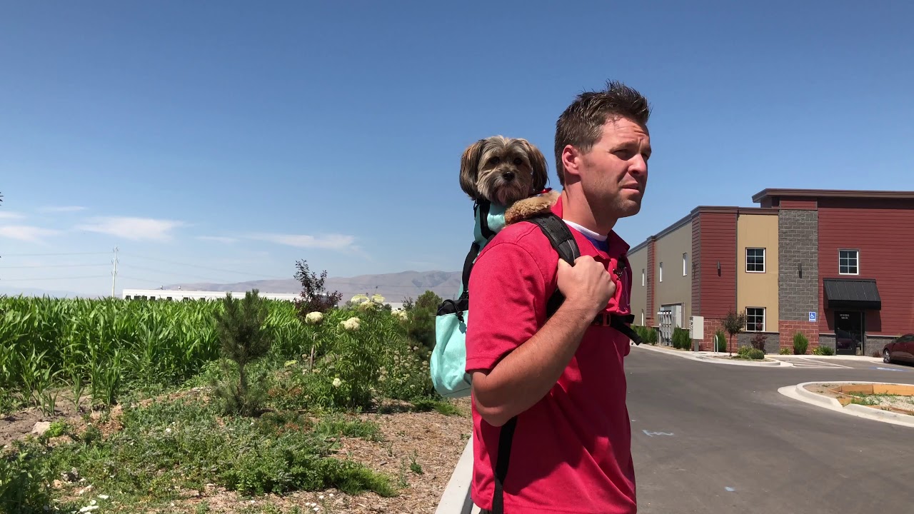 K9 Sport Sack Sizing Video 2019