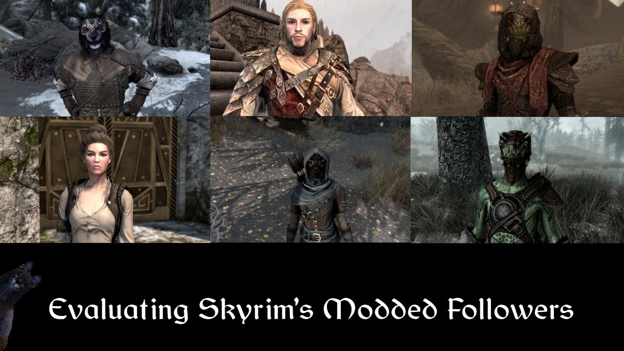 Evaluating Skyrim's Modded Followers