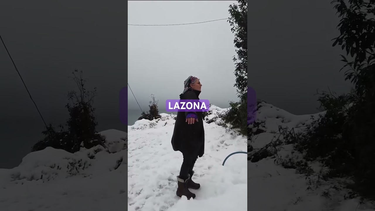 🎬 Credit: EKA / ar lazi oxodca - mçita parpari 🦋   