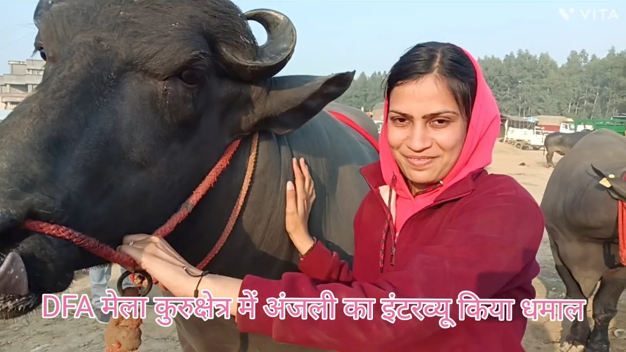 अंजली आईं अवतार बुल के साथ इंटरव्यू में कीया धमाल चैनल को सब्सक्राइब करें 9728881078