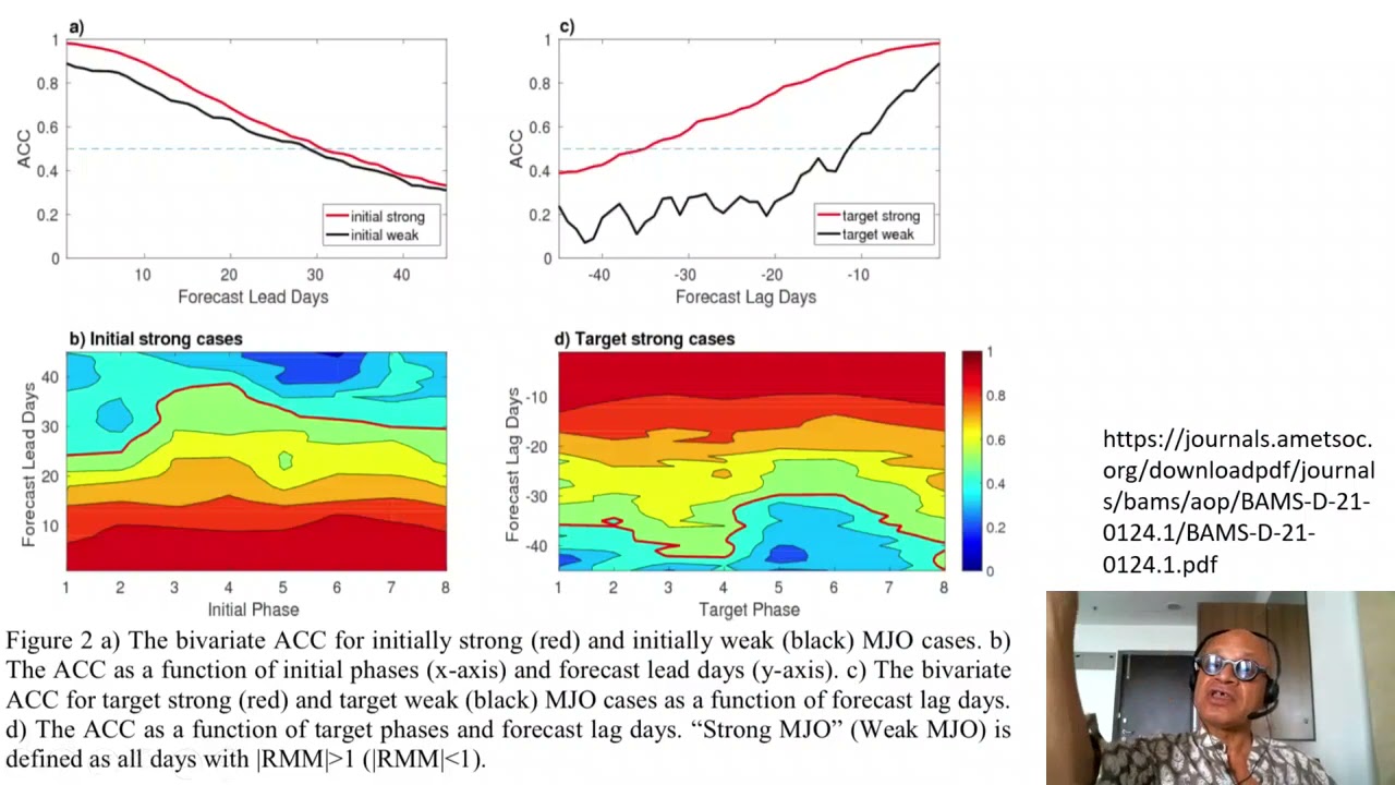 12   MJO Diversity and Prediction  Skills