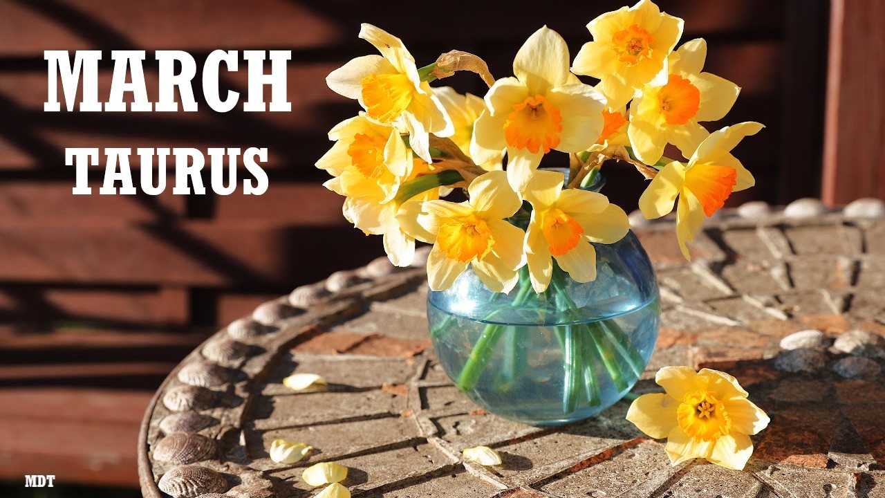 Taurus Monthly Tarot Reading ~ March 2026 ~NEWS COMING IN FAST!  NEW CHILD OR BUSINESS OPPORTUNITY!