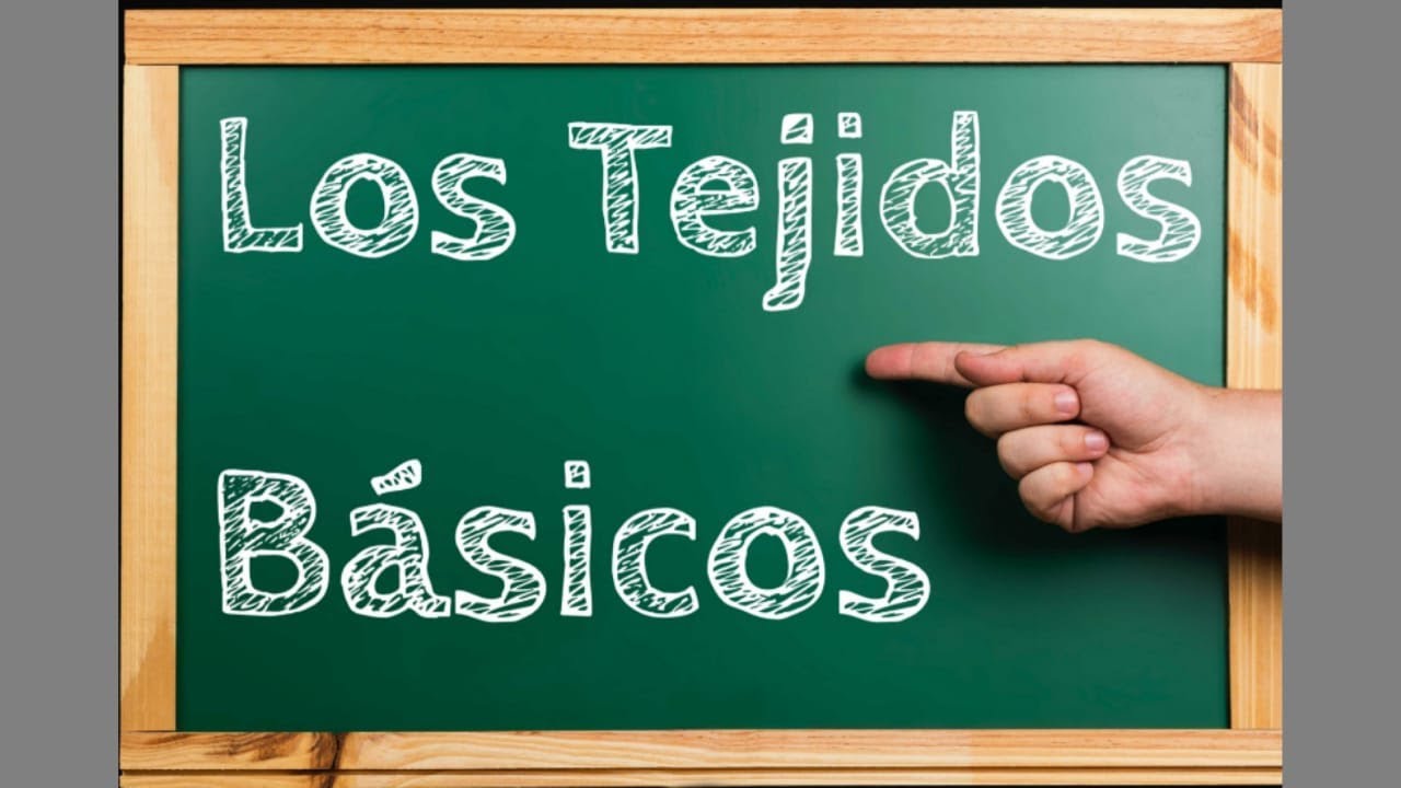 Conociendo Los Tejidos B&aacute;sicos del Cuerpo Humano En 12 Minutos.