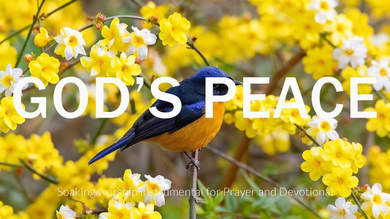 GOD'S PEACE - Soaking worship instrumental | Prayer and Devotional