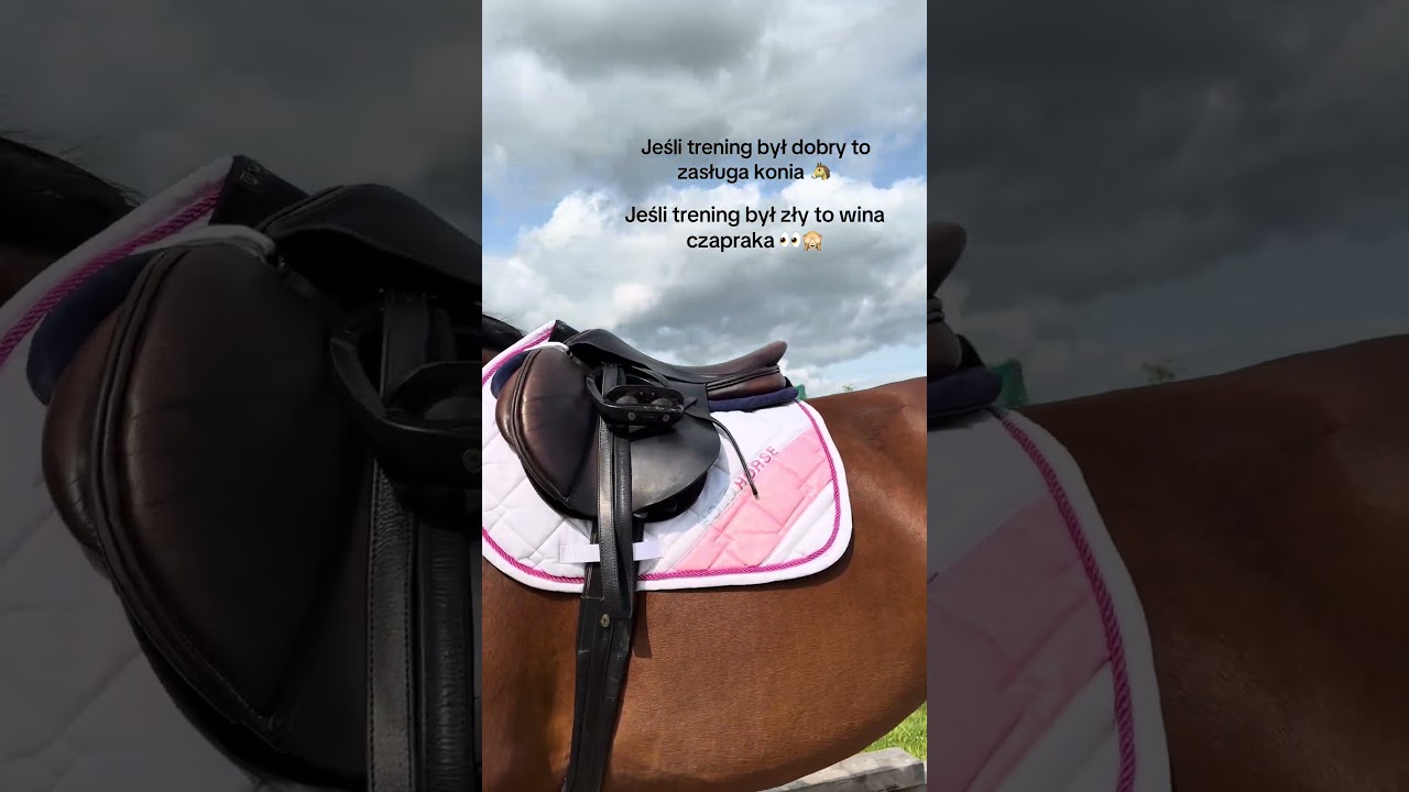 Każdy ma sw&oacute;j pechowy czaprak #equestrianjourney #horse #equestrian #horsetrack #pony