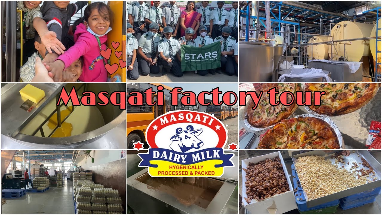 A TOUR OF MASQATI FACTORY 🐄🤩||REAL process of making icecream,curd,ghee etc😲|#masqati #dairyfarm