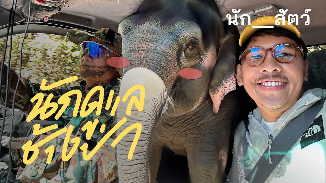 นักดูแลช้างป่า - นัก__สัตว์ EP7