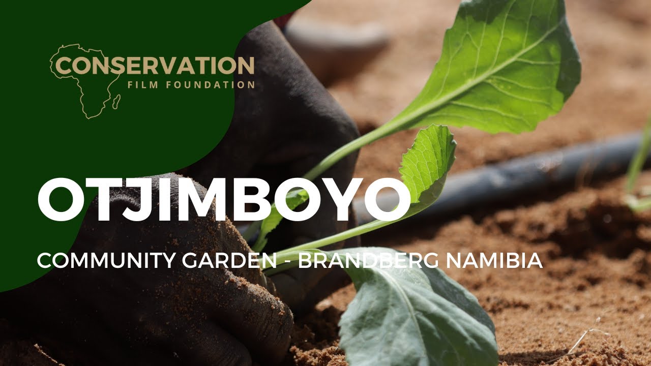 Otjimboyo Community Garden - Alternative Food Security at Brandberg