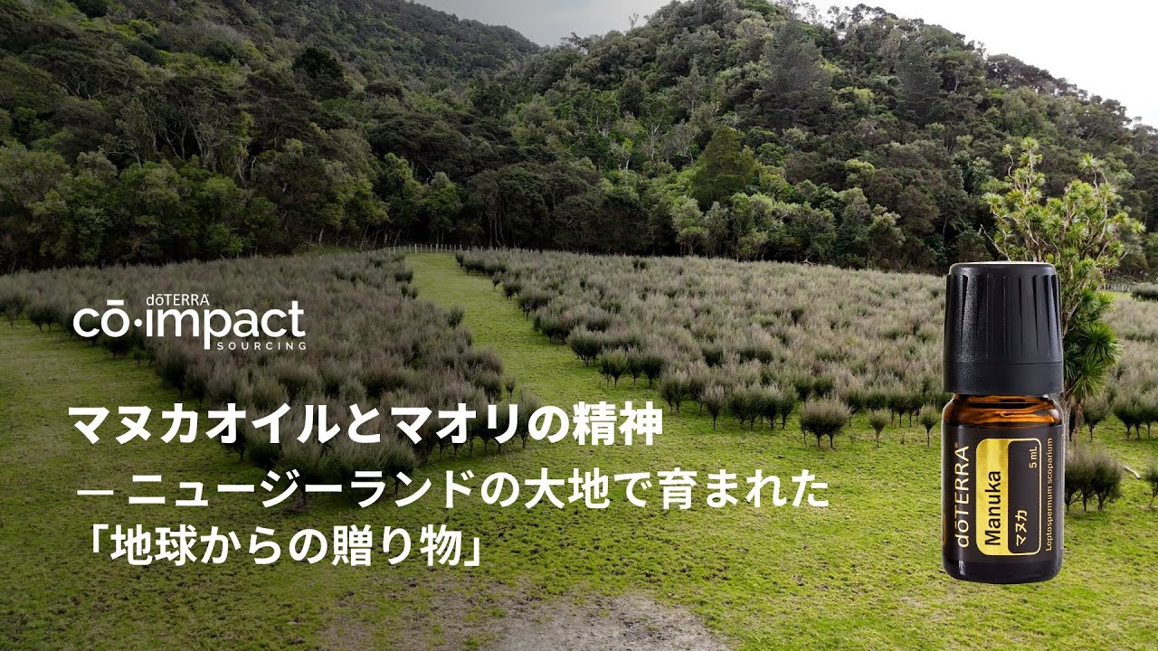 マヌカオイルとマオリの精神 ― ニュージーランドの大地で育まれた「地球からの贈り物」