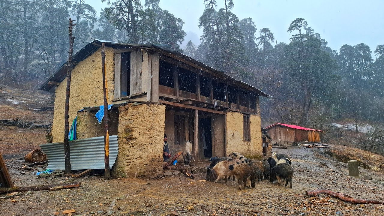 This Video Compilation Of Nepali Mountain Village Life During Rainy Season || Original Lifestyle ||