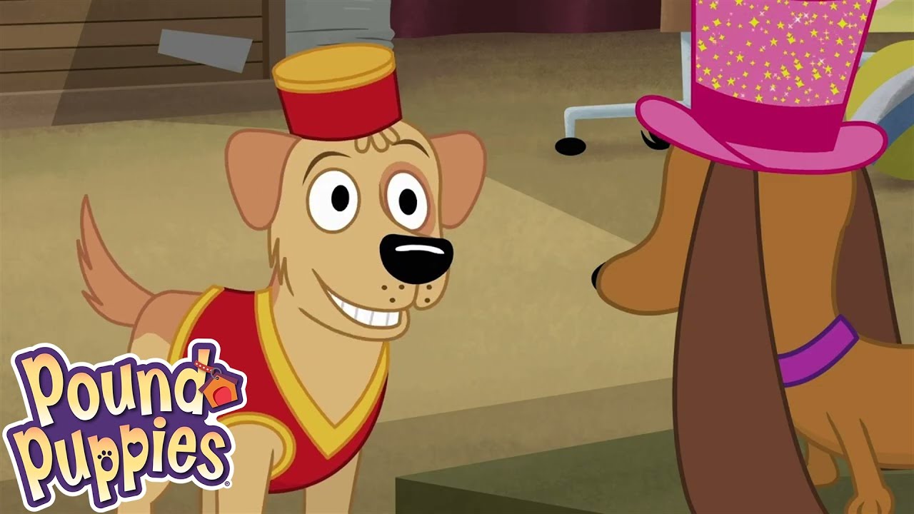 Pound Puppies | Dog on a Wire | COMPILATION | Season 1 | Pet Cartoon