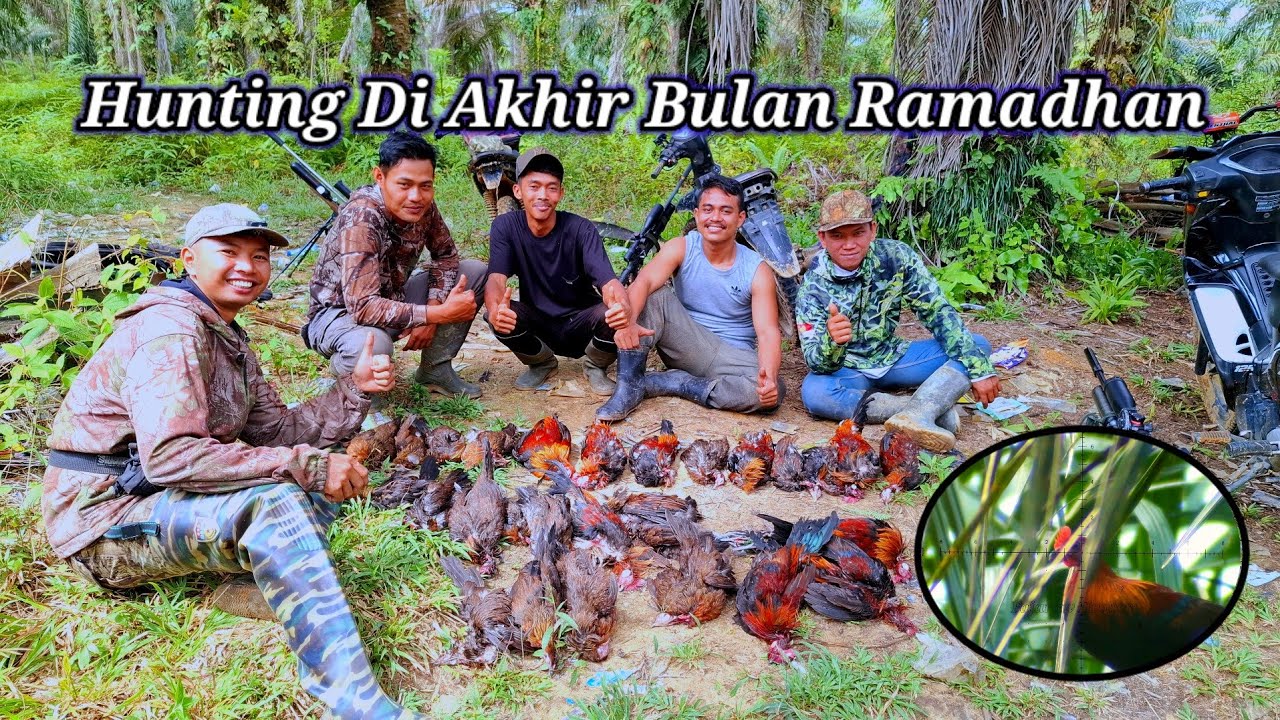BERBURU AYAM HUTAN SAWIT 290325 || Hunting di bulan Ramadhan