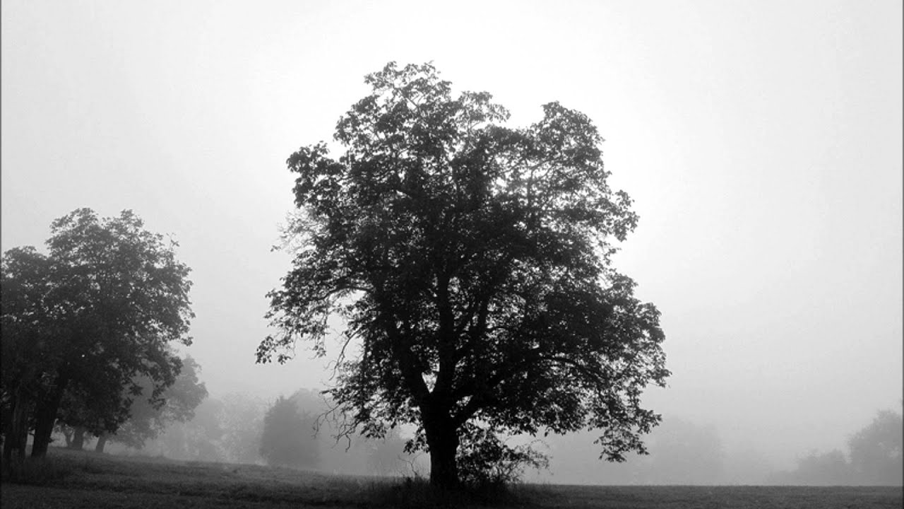 Im Nebel - Hermann Hesse