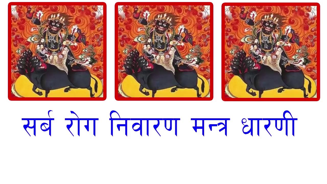सर्व  रोग निवारण धारणी  ।