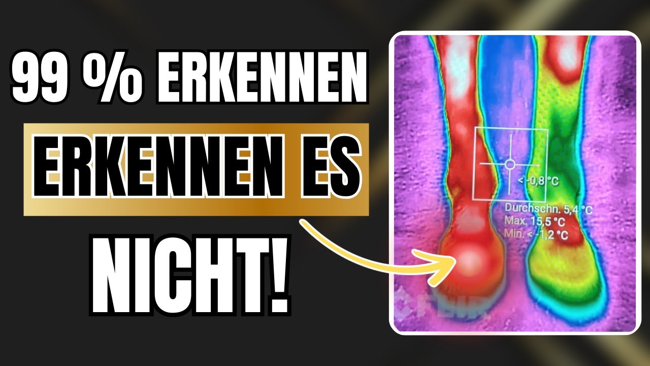 Hufrehe &ndash; Der Hilfeschrei des ganzen K&ouml;rpers deines Pferdes
